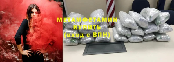 трава Аркадак